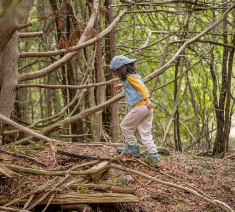 capture-web_29-5-2023_151525_www_canva_com